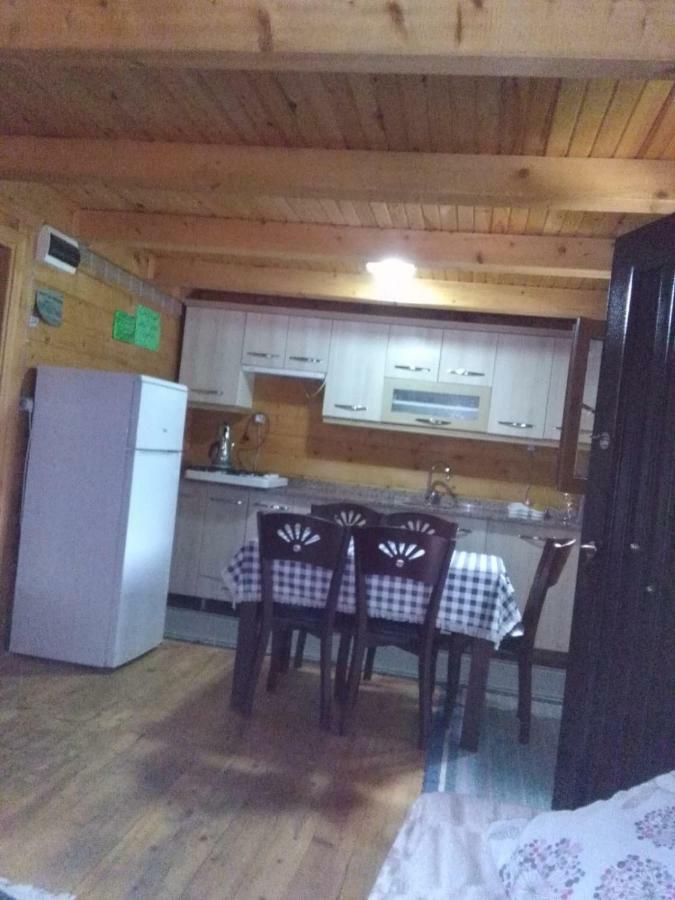 Esperanza Apart & Pension Ayder Yaylasi Exterior photo